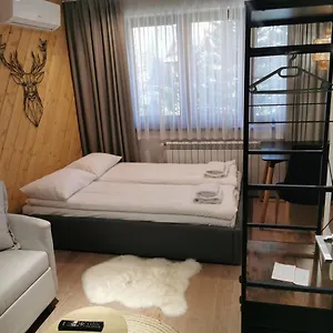 https://tatrzanska-gawra.zakopanehotels.org